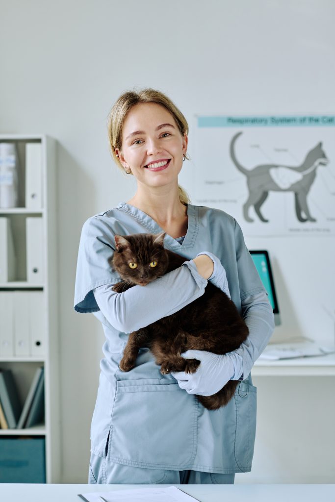 Young nurse with cat at vet clinic